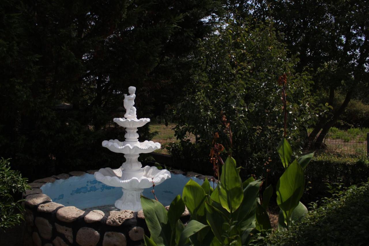 Guest house Nefeli 2*